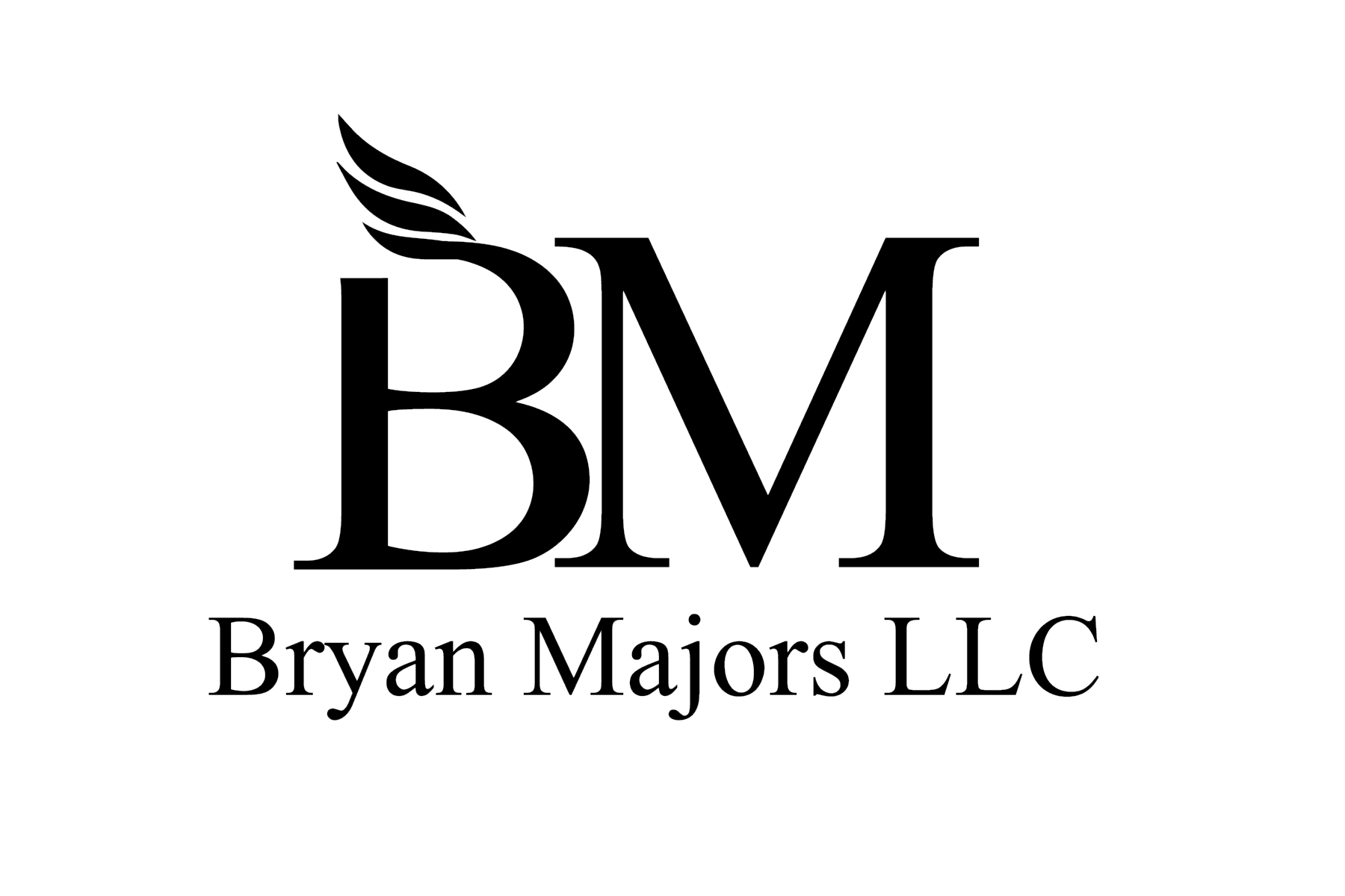 BM LLC